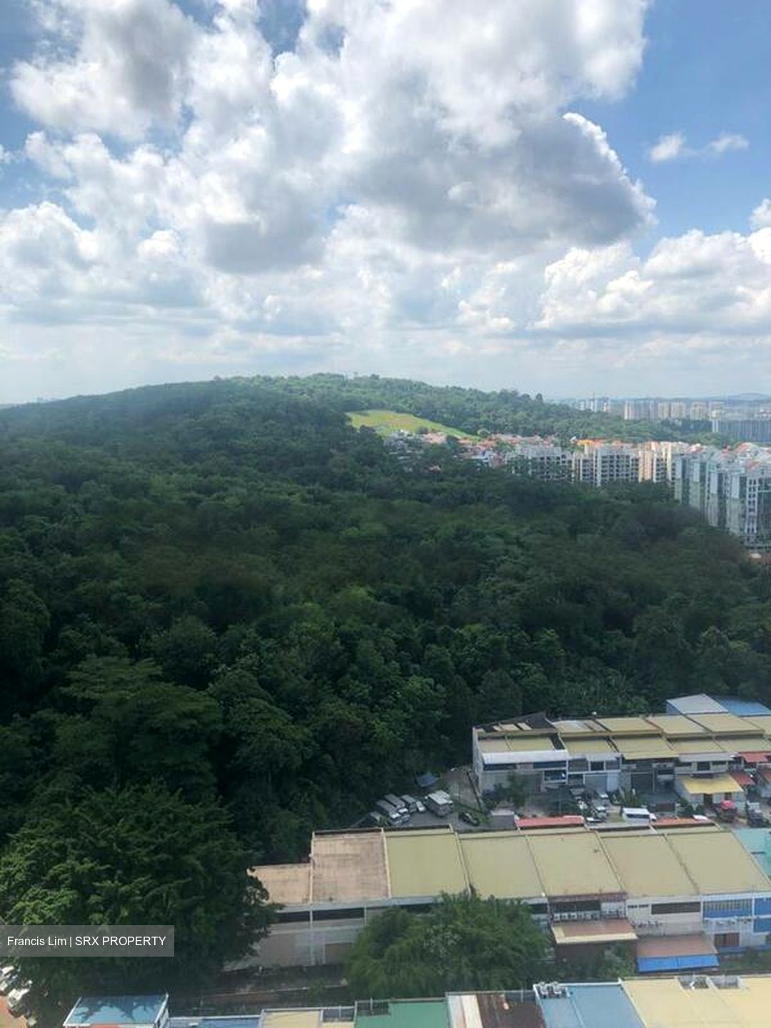 Regent Heights (D23), Condominium #607372941